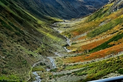 IMG-20260924-WA0009