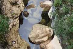 dd231472-d970-43e2-8b6e-7eee09f70583