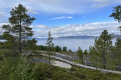 20220622_144909464_iOS