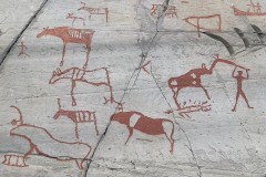 20220622_145018224_iOS