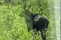 20220625_100658380_iOS-1