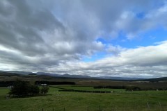 20220913_083333508_iOS