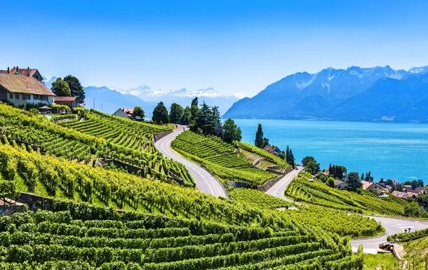 Weinregion Lavaux am Genfersee© Samuel B. - stock.adobe.com