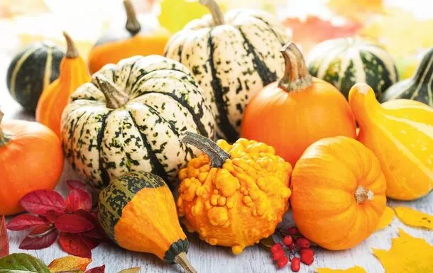 decorative mini pumpkins for halloween© dusk - Fotolia