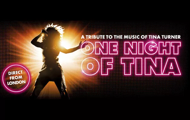 One Night of Tina
