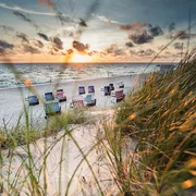 Strand mit Strandkörben bei Sonnenuntergang, Meer im Hintergrund und Dünengras im Vordergrund.