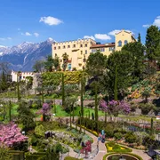Schloss in malerischer Berglandschaft mit gepflegtem Garten und blühenden Bäumen.